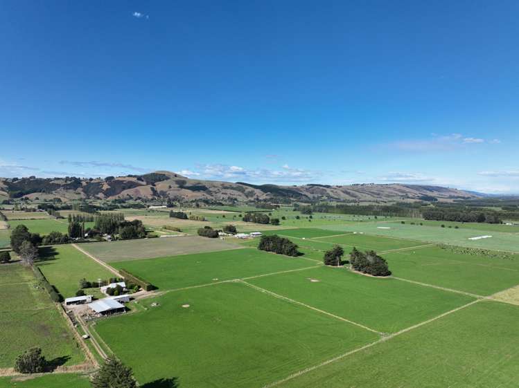 310 Bush Road Mosgiel_9