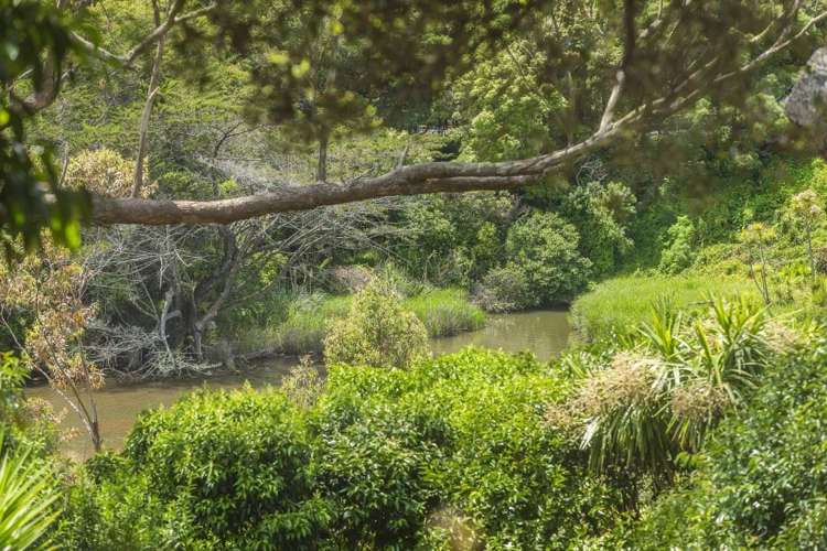 1/69 Waiatarua Road Remuera_5