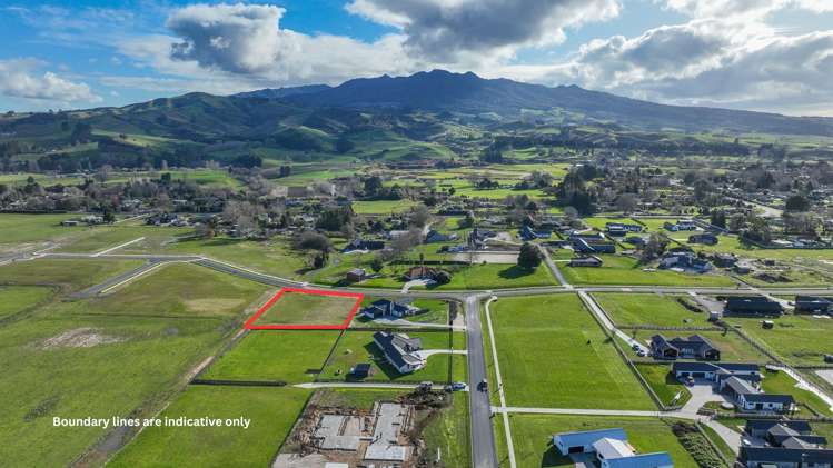 895 Collinson Street Pirongia_12