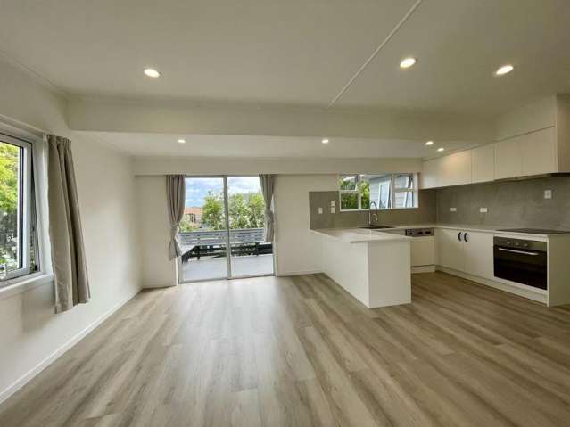 20 Francis Street Hauraki_2