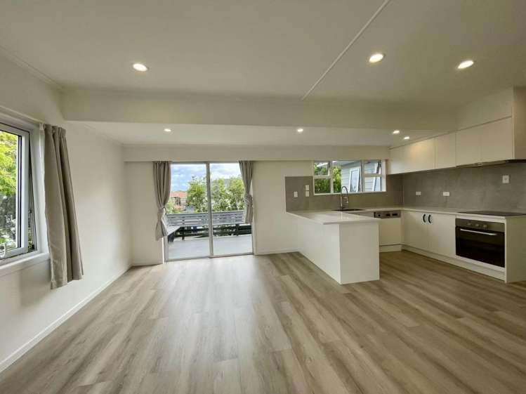 20 Francis Street Hauraki_2