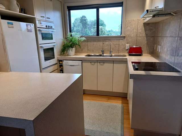 11 Wilkinson Way Browns Bay_2