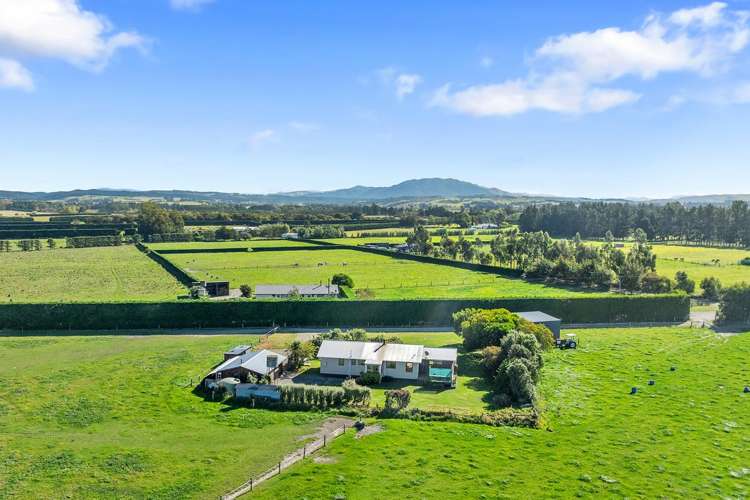 221 Smiths Road Leithfield_20