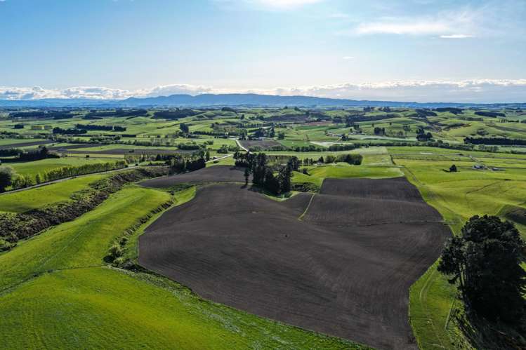 21 East Chatton Road Maitland_10