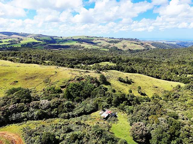 870 Marlborough Road Dargaville Surrounds_4