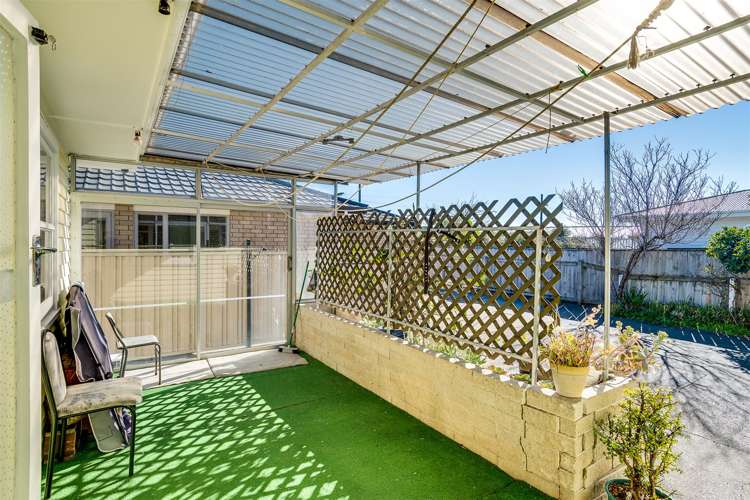 319 Kennedy Road Onekawa_12