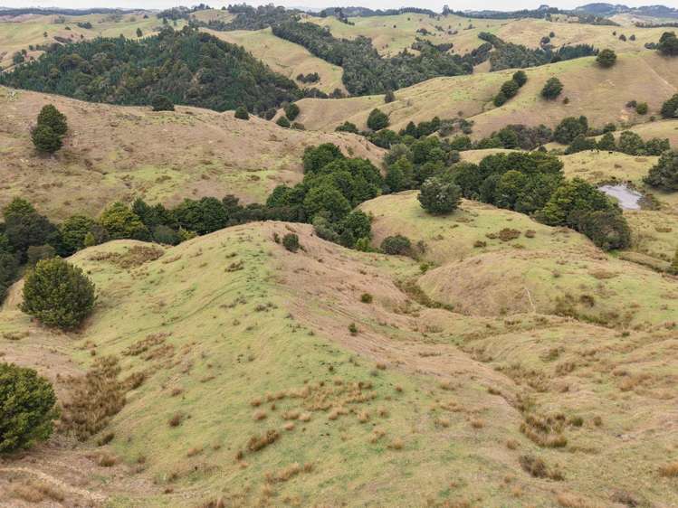 290 Hillcrest Road Waiotira_19