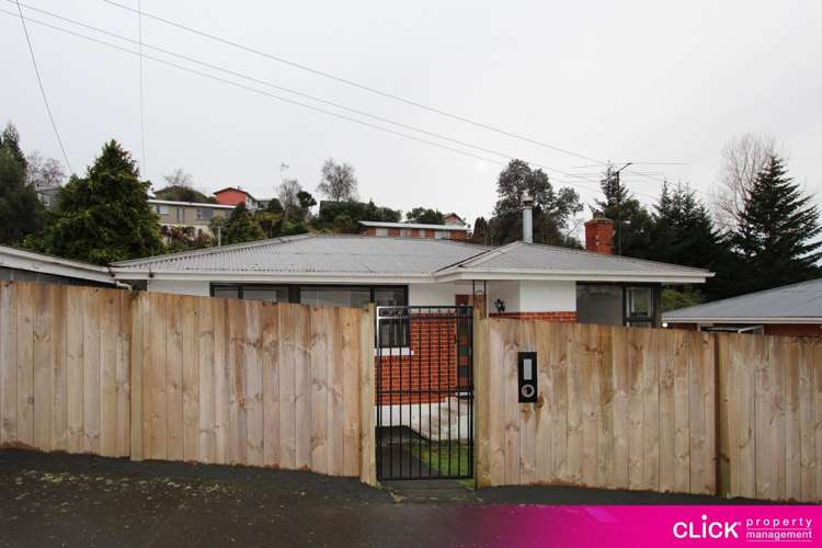 388 Taieri Road 10276_11