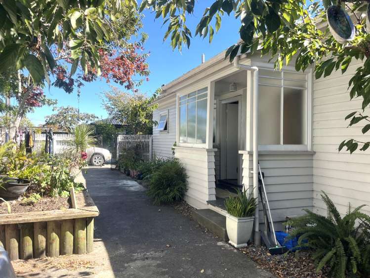  3 Kowhai Avenue Annesbrook_12