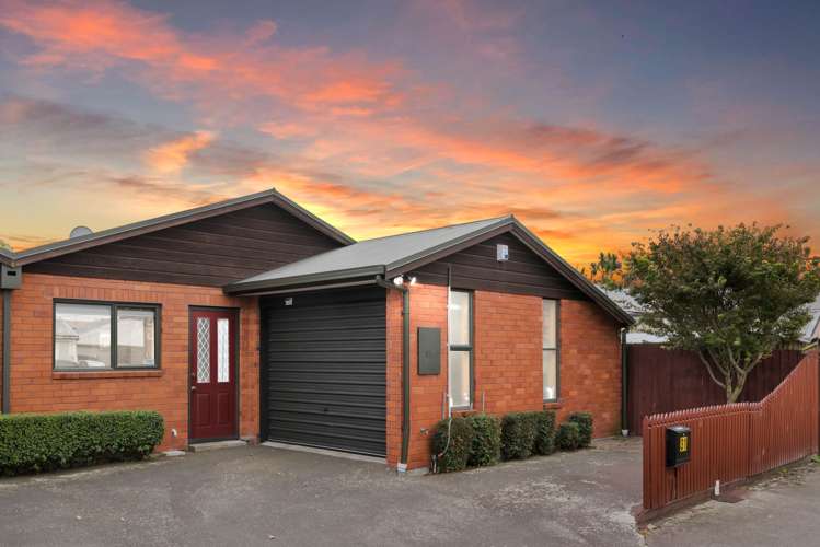 31 Montrose Street Sydenham_0