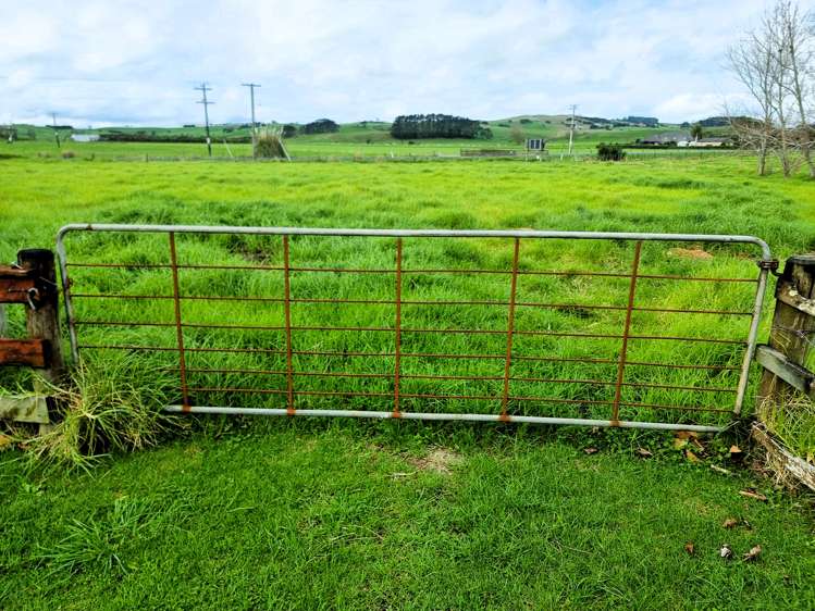 6453 State Highway 12 Dargaville Surrounds_25