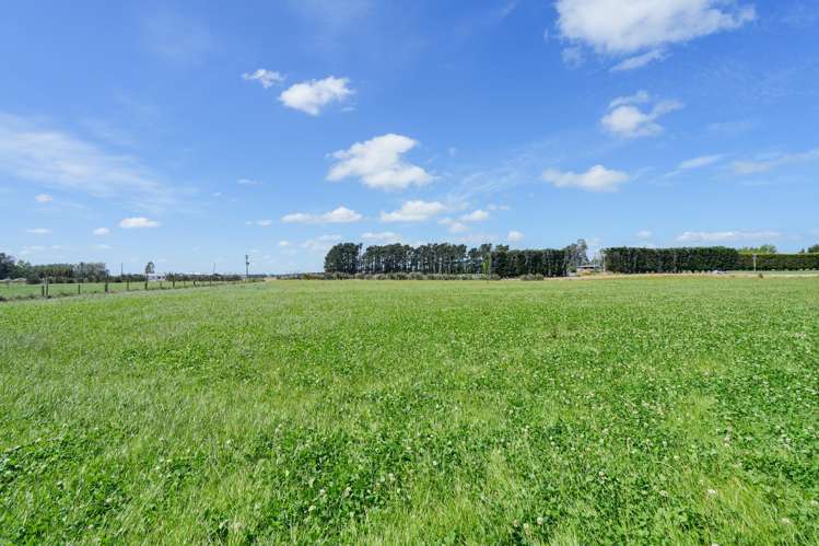 80 Longbush South Road Longbush_8