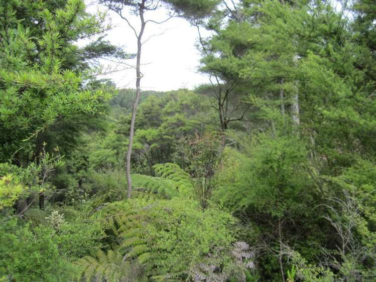 321a Quine Road Tahuna_11