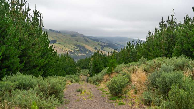 226 Middle Road Pigeon Bay_31