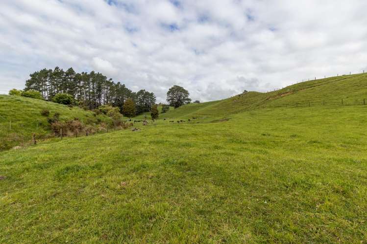 79 Dorset Road Hillsborough_41