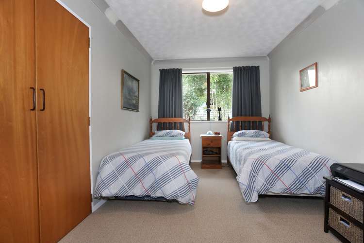 12 Hammond Street Bulls_9