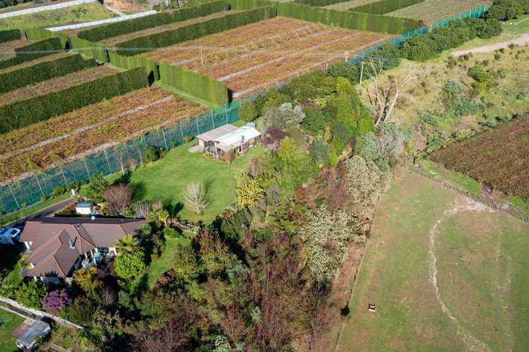 3 Donelle Place Te Puke_13