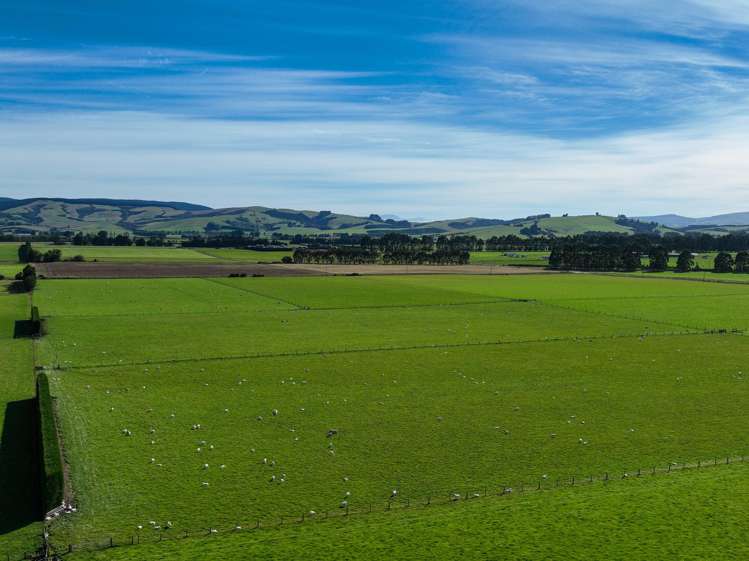 372 Looney Road South Hillend_15