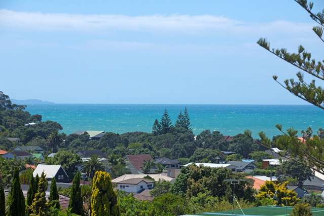 15 Halldene Terrace Red Beach_1