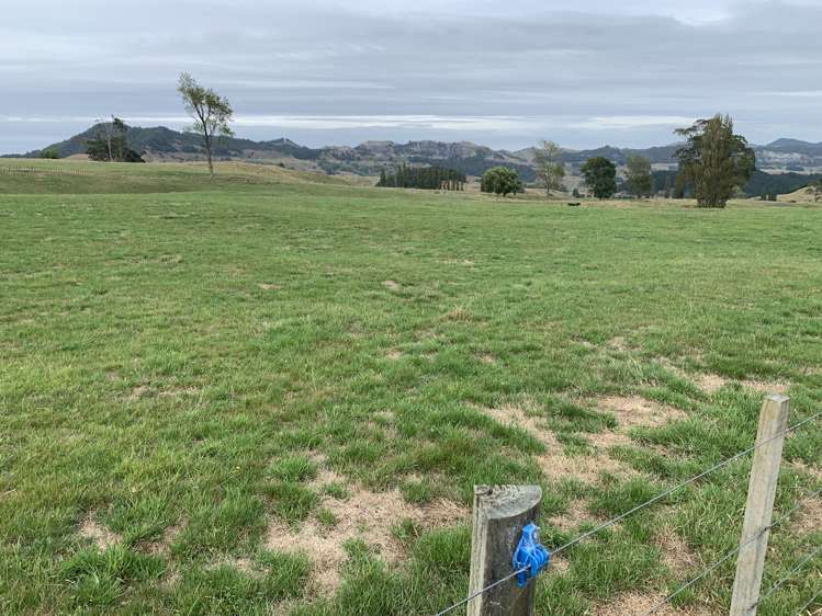 3062 State Highway 4 Aria_11