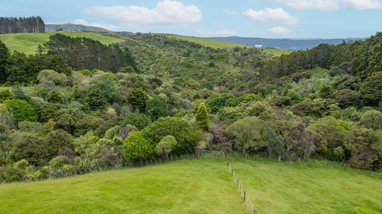55 M Greenwood Road_4