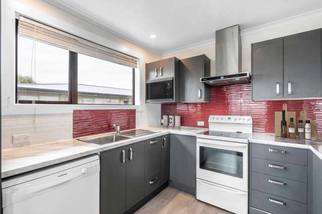 52 Edinburgh Crescent Waikiwi_3