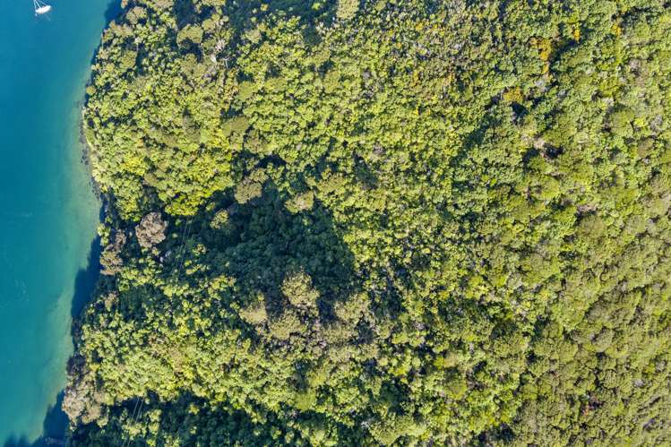 The Snout Waikawa Bay Picton_12