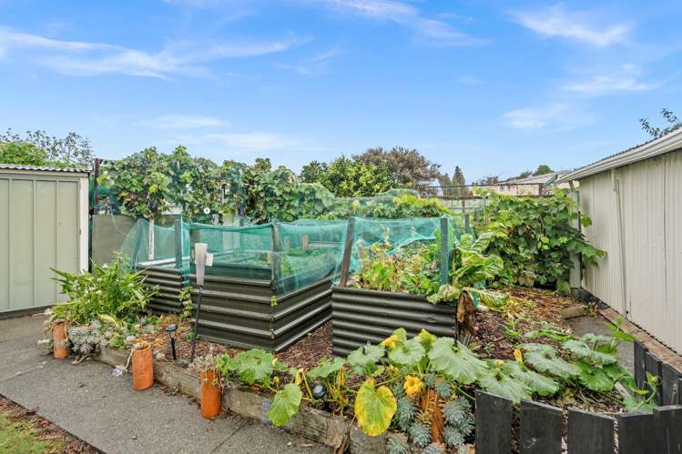 11 Thompson Place Tikipunga_22