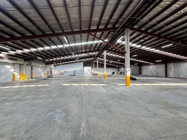 11 McDonald Street Morningside_3
