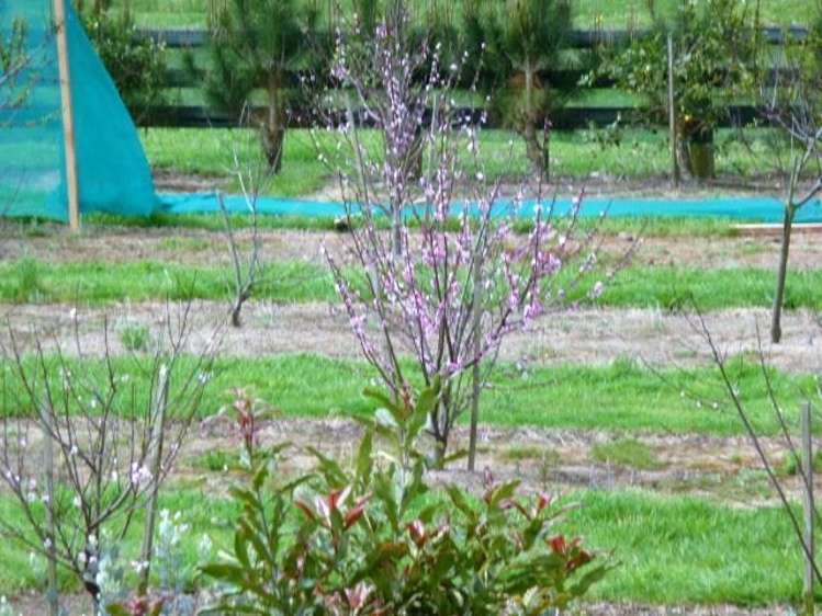 165a State Highway 1 Awanui_11