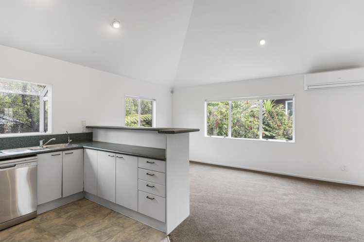 3/42 Lingarth Street Remuera_3