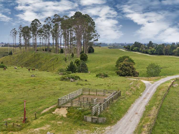 1300 Pongakawa Bush Road Pongakawa_13