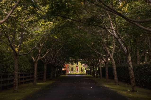 16e Davidson Lane Tamahere_4