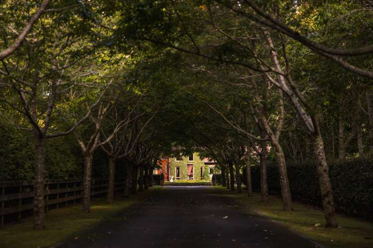 16e Davidson Lane Tamahere_4