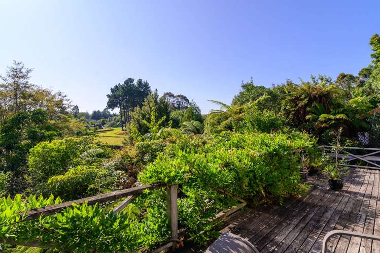 18a Taiporutu Place Springfield_0