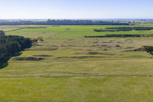 177 Downs Road Himatangi_1
