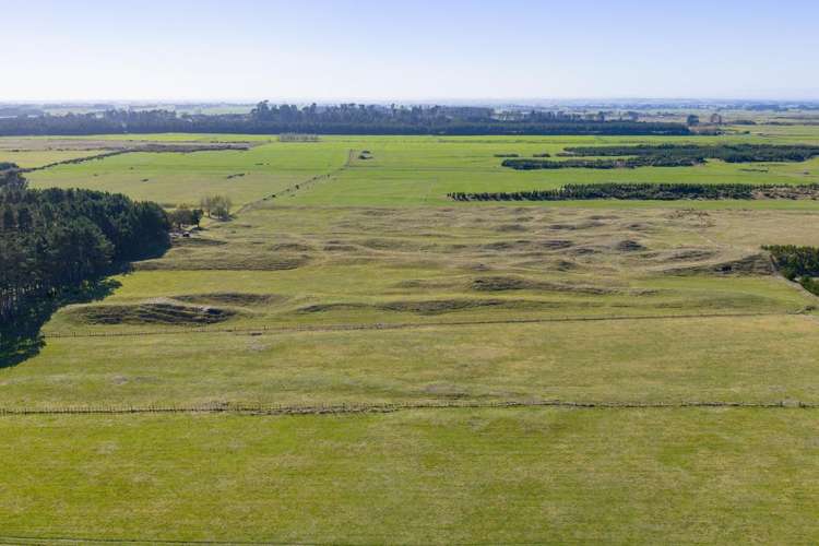 177 Downs Road Himatangi_1