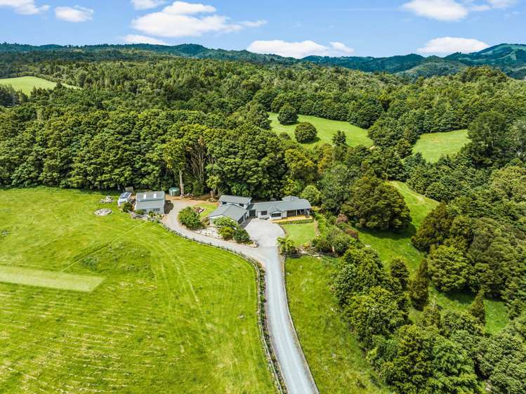 76 Forest View Road Kamo_25