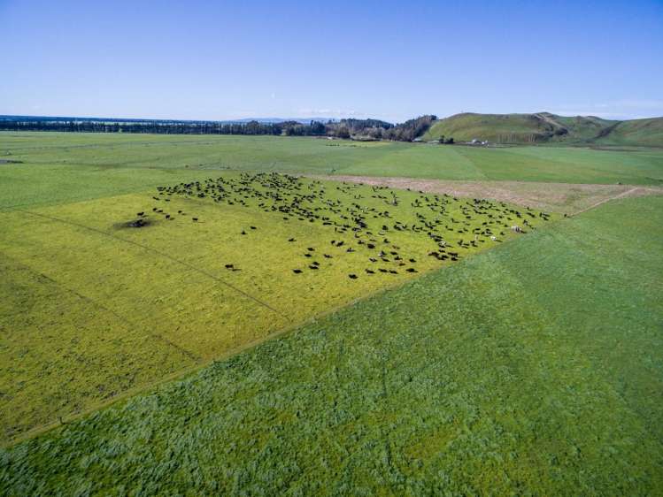 45 Parish Road Oxford_8