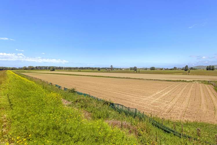 767A Wharerata Road Manutuke_5