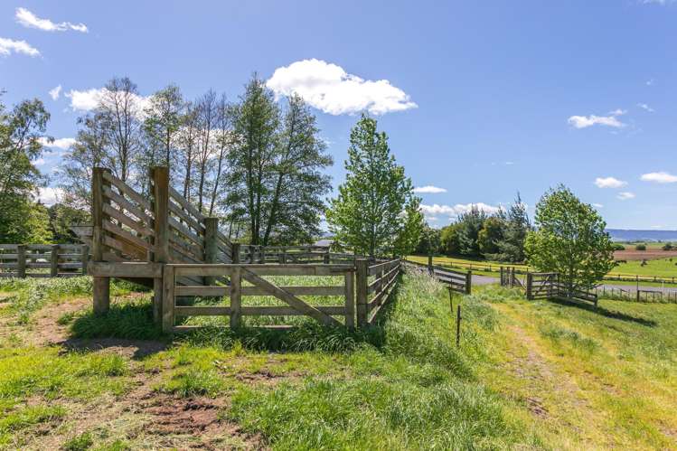 231 Matai Road Matamata_9