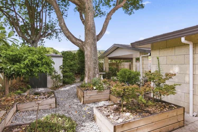 3 Iti Grove Waikanae_20