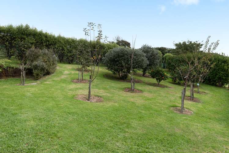 314 Ross Road Whakamarama_19