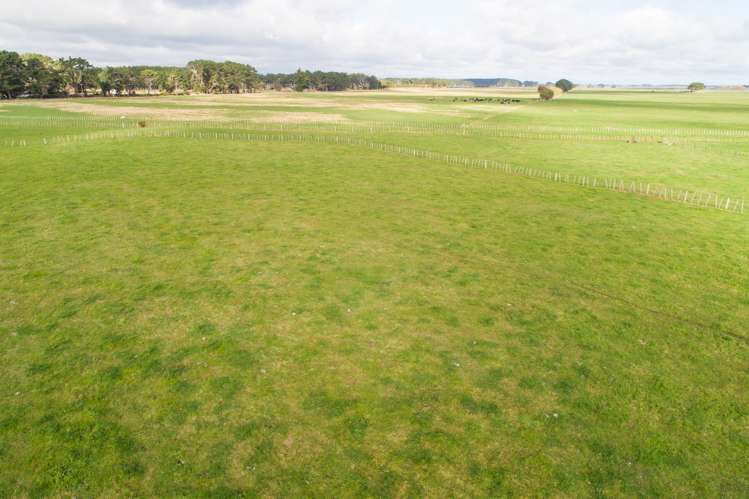 Lot 1 Himatangi Beach Road Himatangi Beach_7