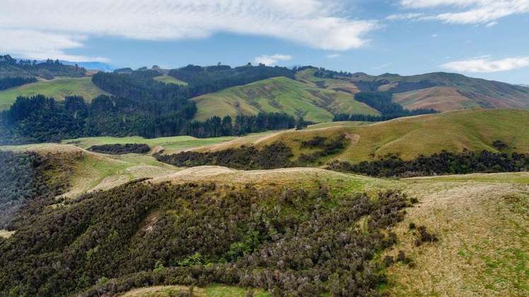 25 Mangamaire Road Dannevirke_18