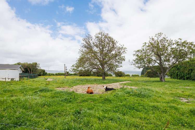 823 Napier Road Whakarongo_23