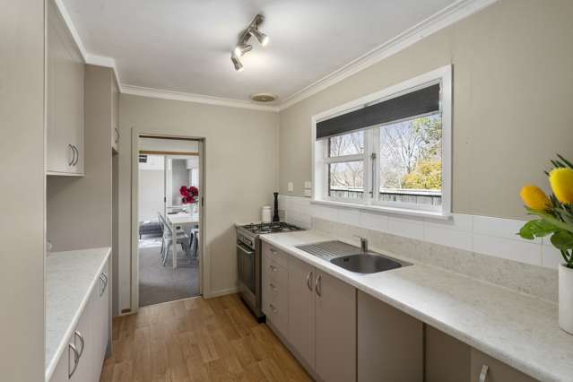 423 Carrington Street Upper Vogeltown_3