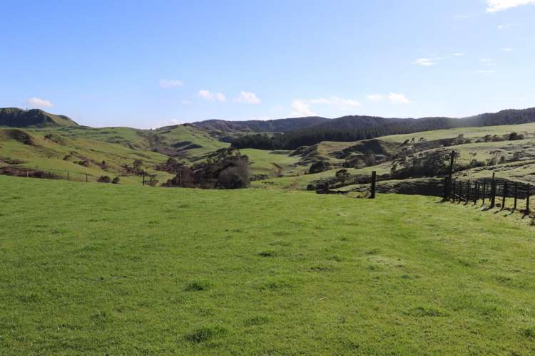259 Elgood Road Ngaruawahia_24
