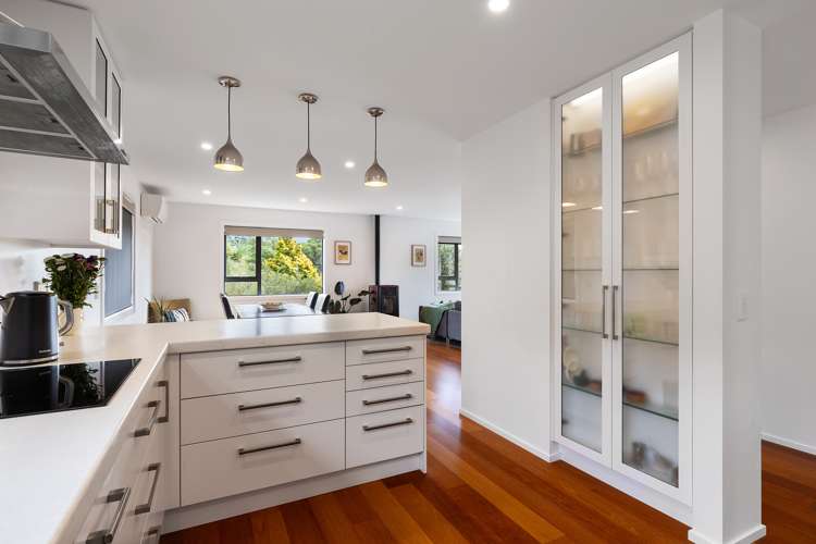 39 Vernon Terrace Hillsborough_10