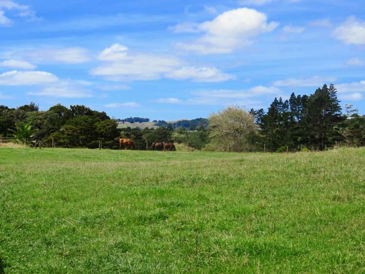 186 West Coast Road Makarau_10